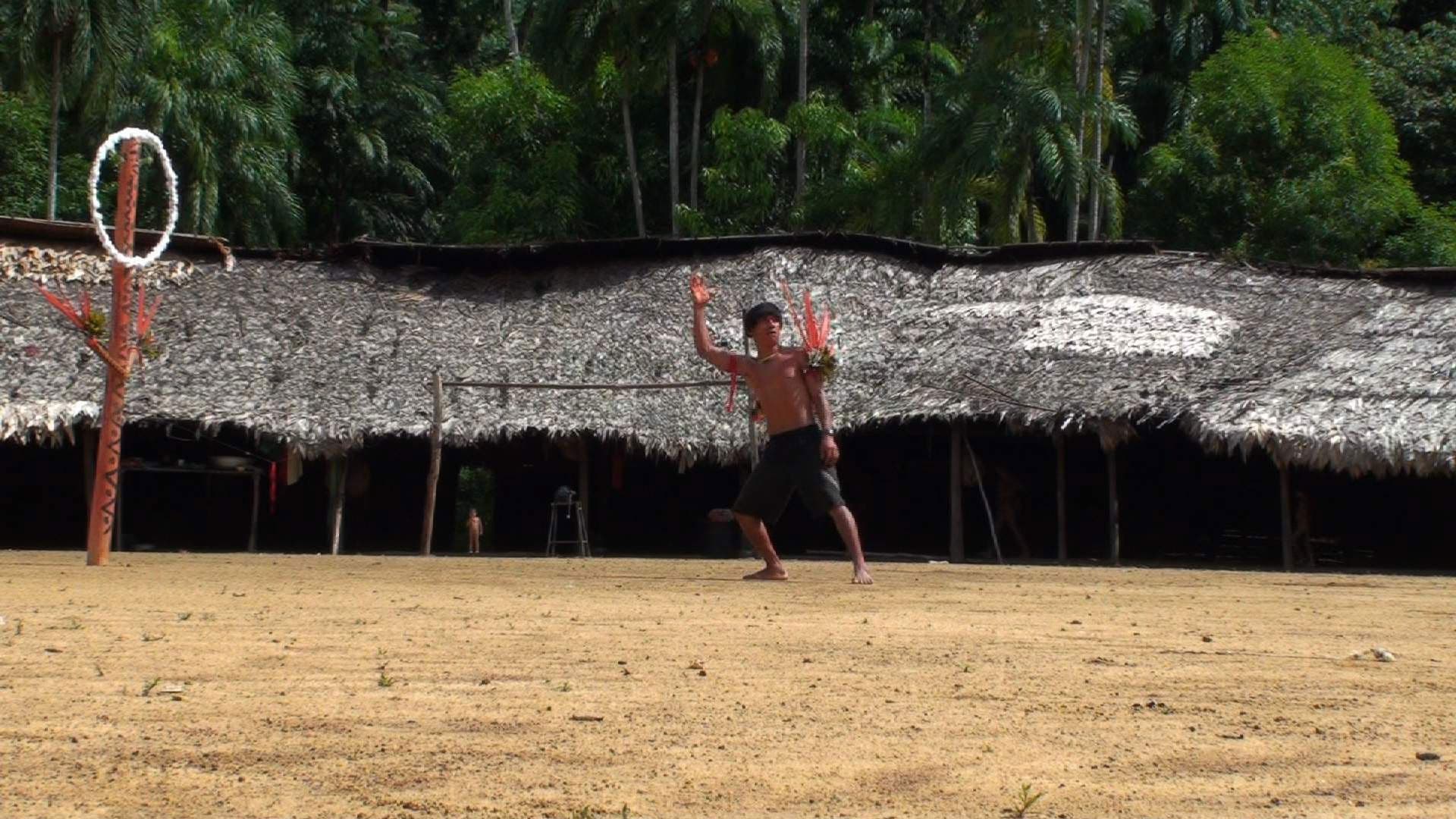 Urihi Haromatipë — Curadores da Terra-Floresta