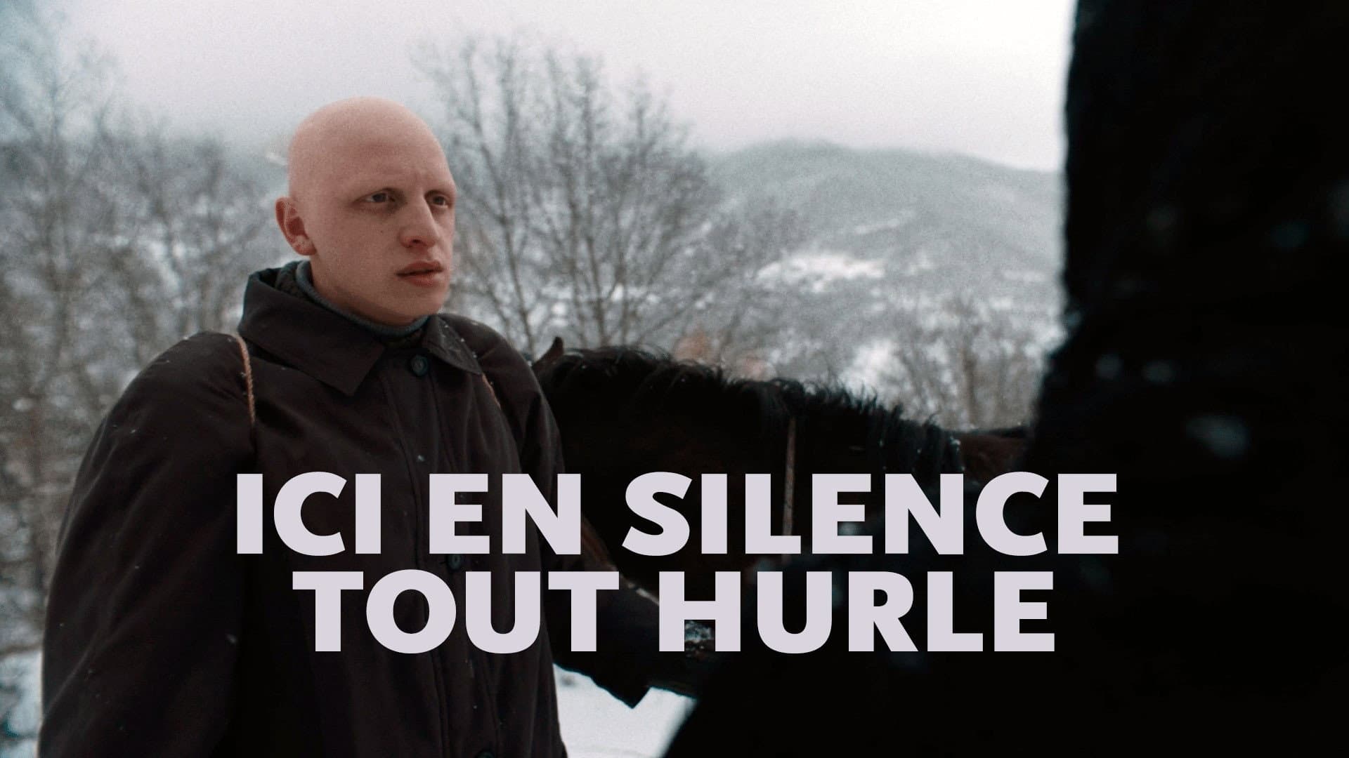 აქ, სიჩუმეში, ყველაფერი ყვირის