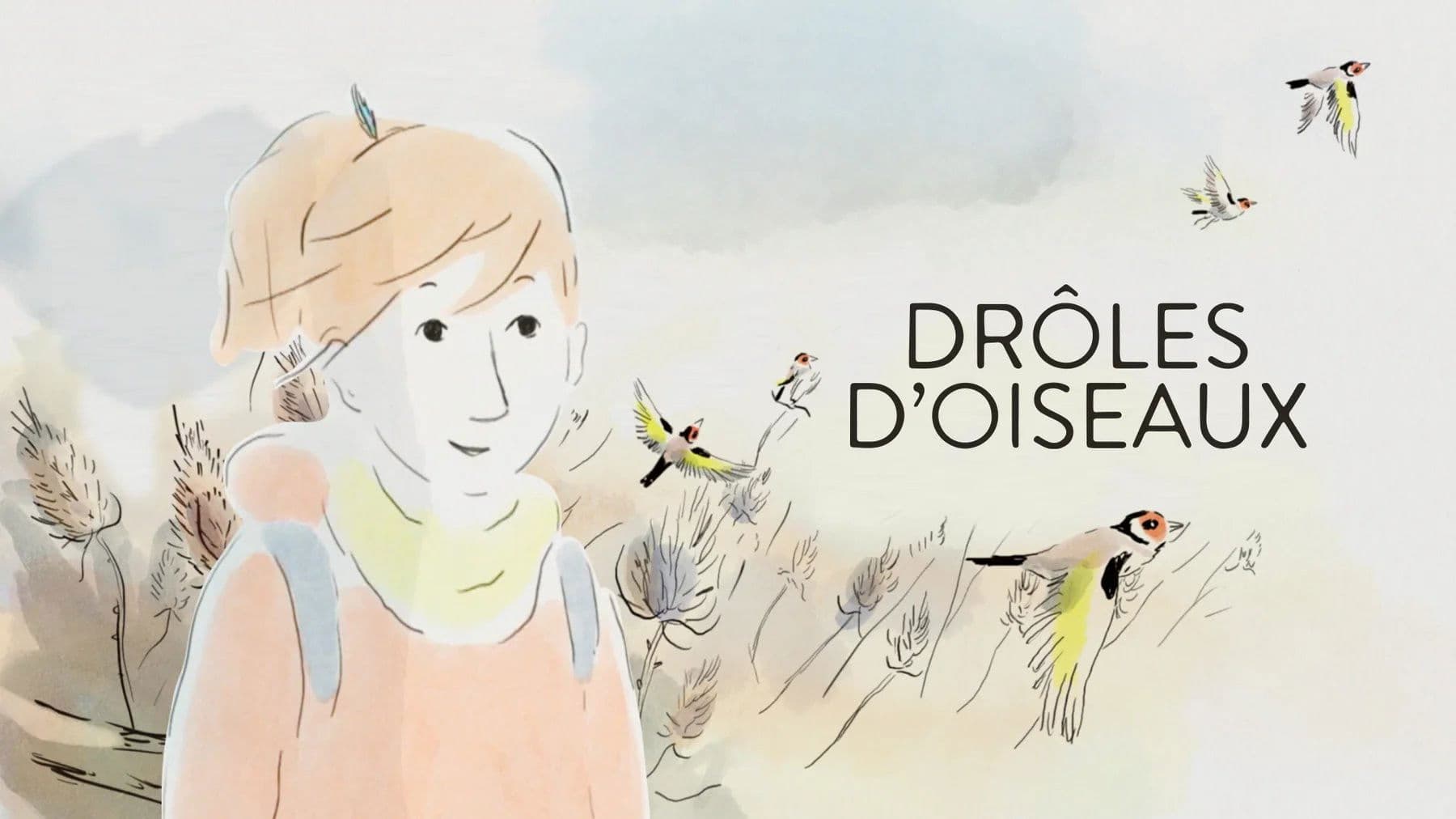 Drôles d'oiseaux