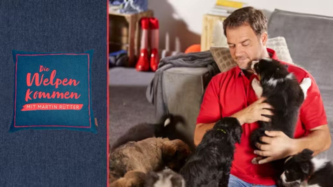 Martin Rütter - Die Welpen kommen