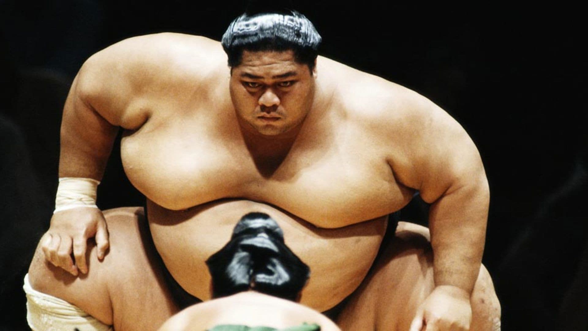 National Geographic: Inside Sumo's Ultimate Clash