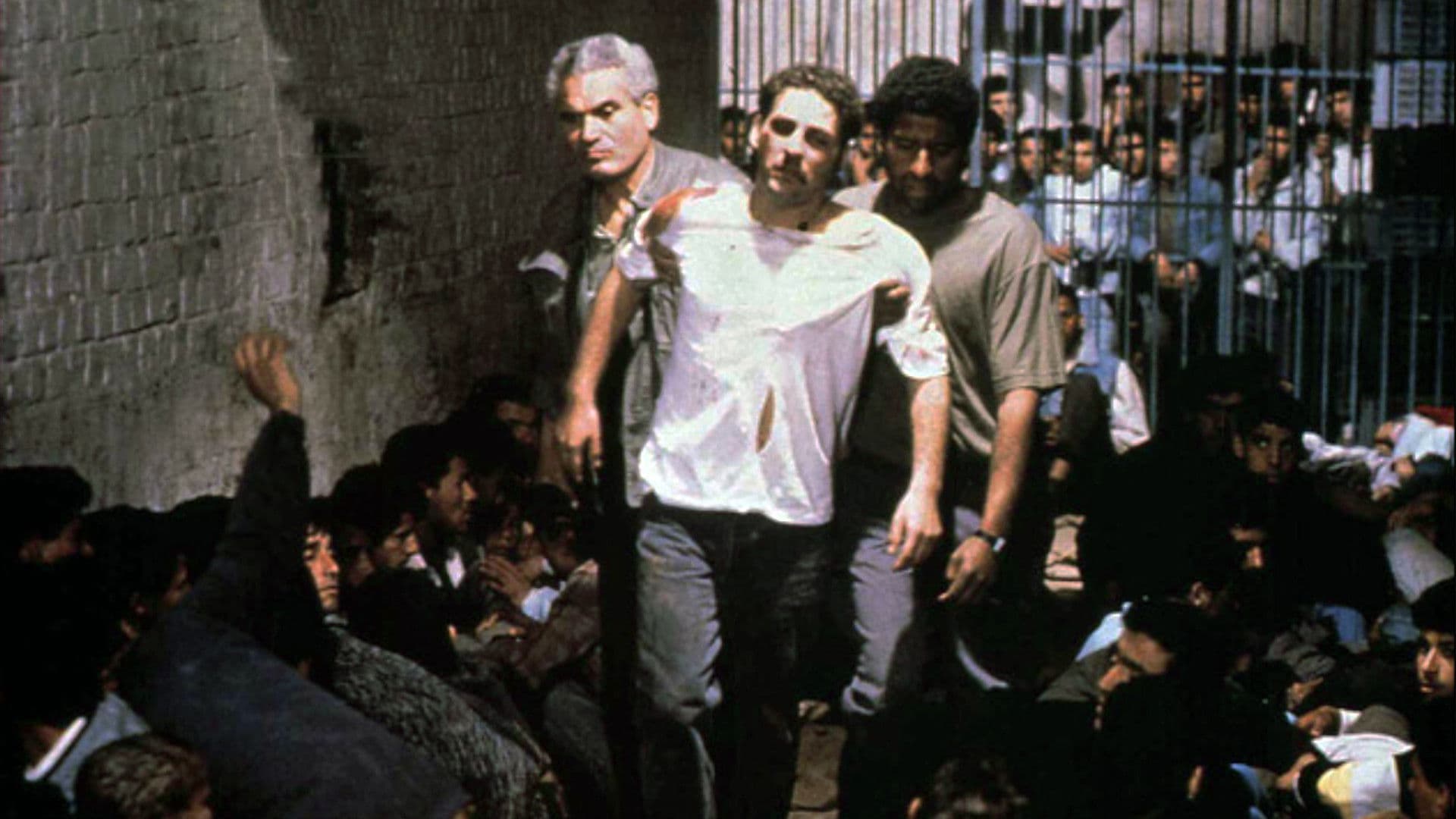 Automne, Octobre À Alger