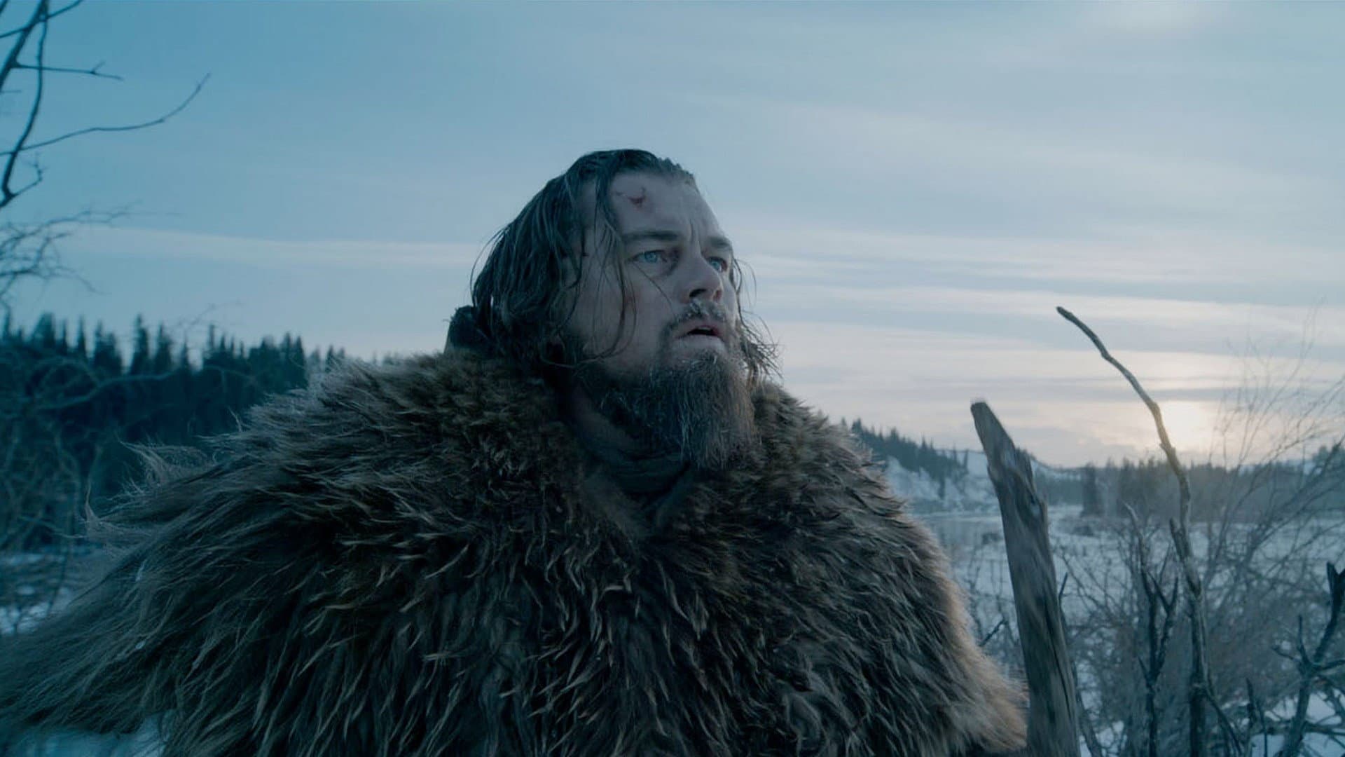 The Revenant: Legenda lui Hugh Glass