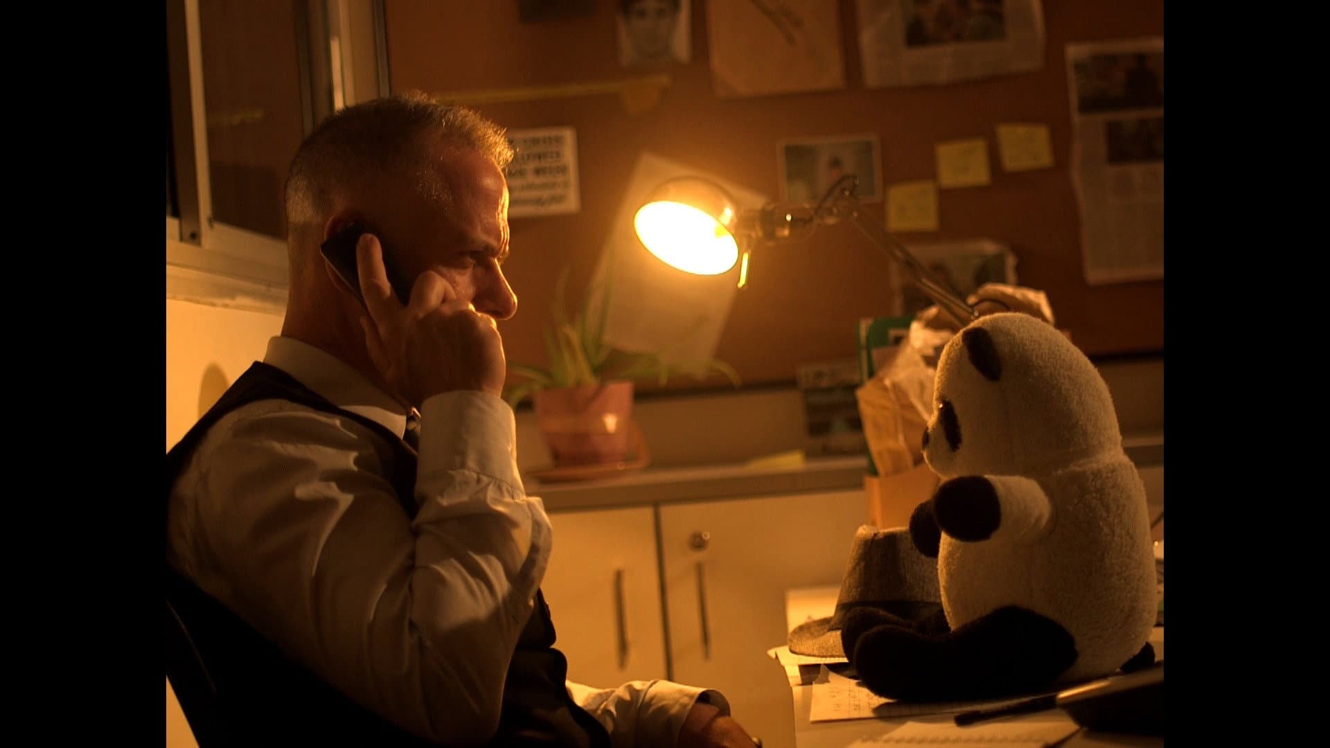 לילה טוב הארי