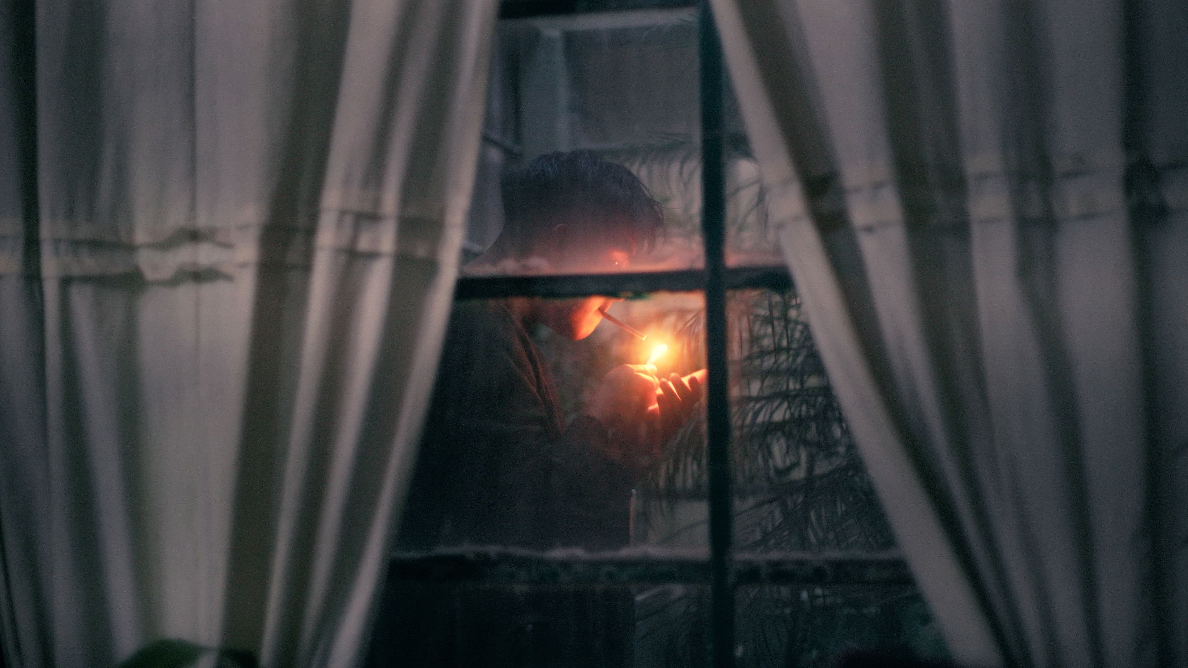 Anatomía del sentimiento