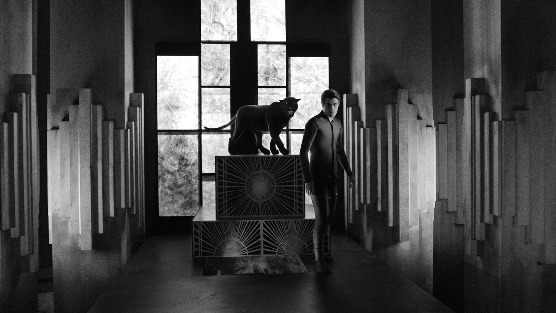 Diabolik cine ești?