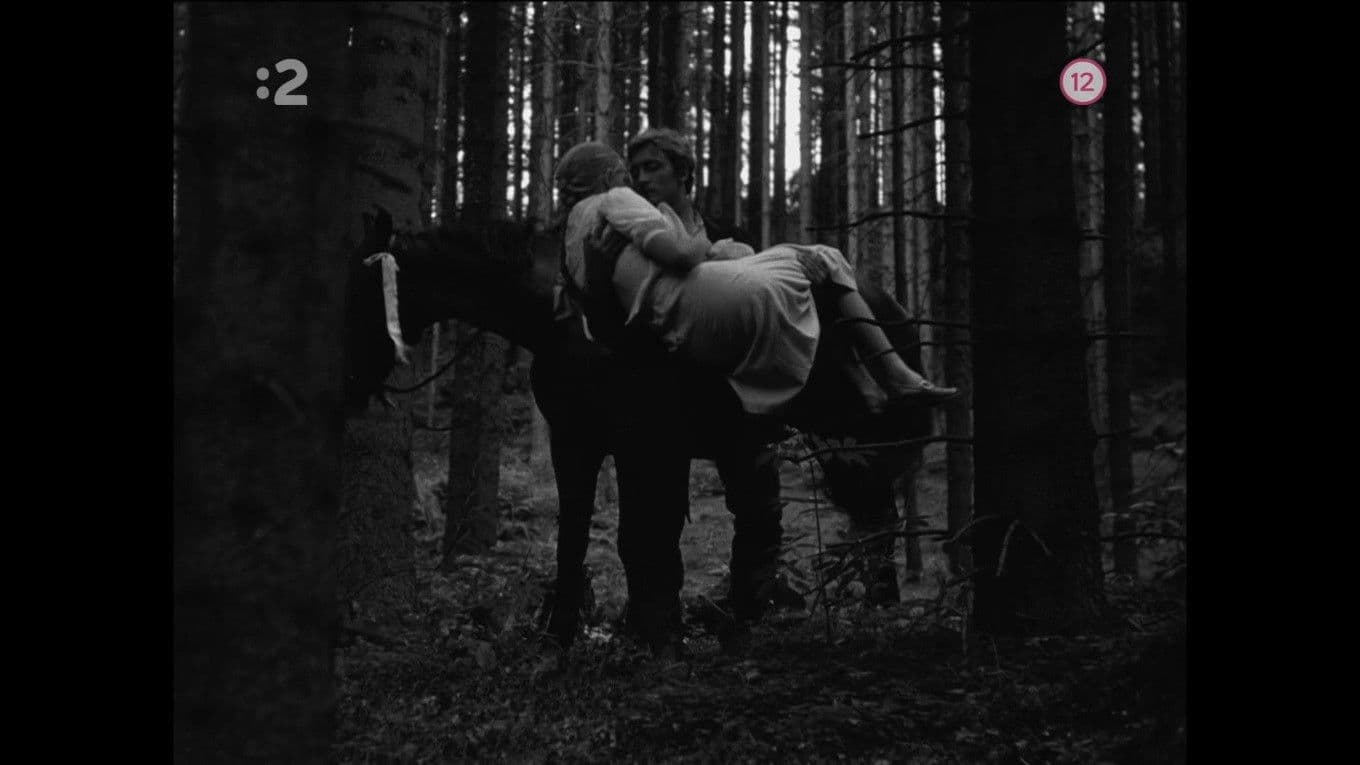 Tri gaštanové kone