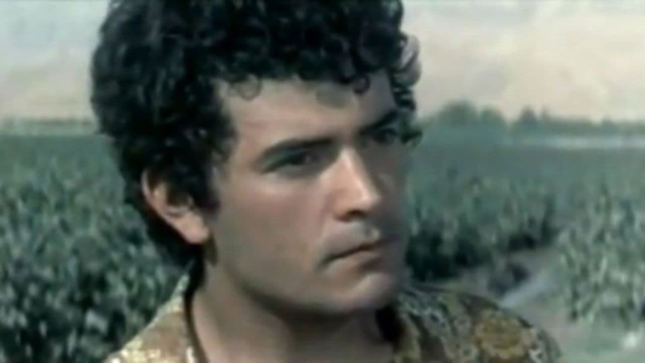 Одной жизни мало