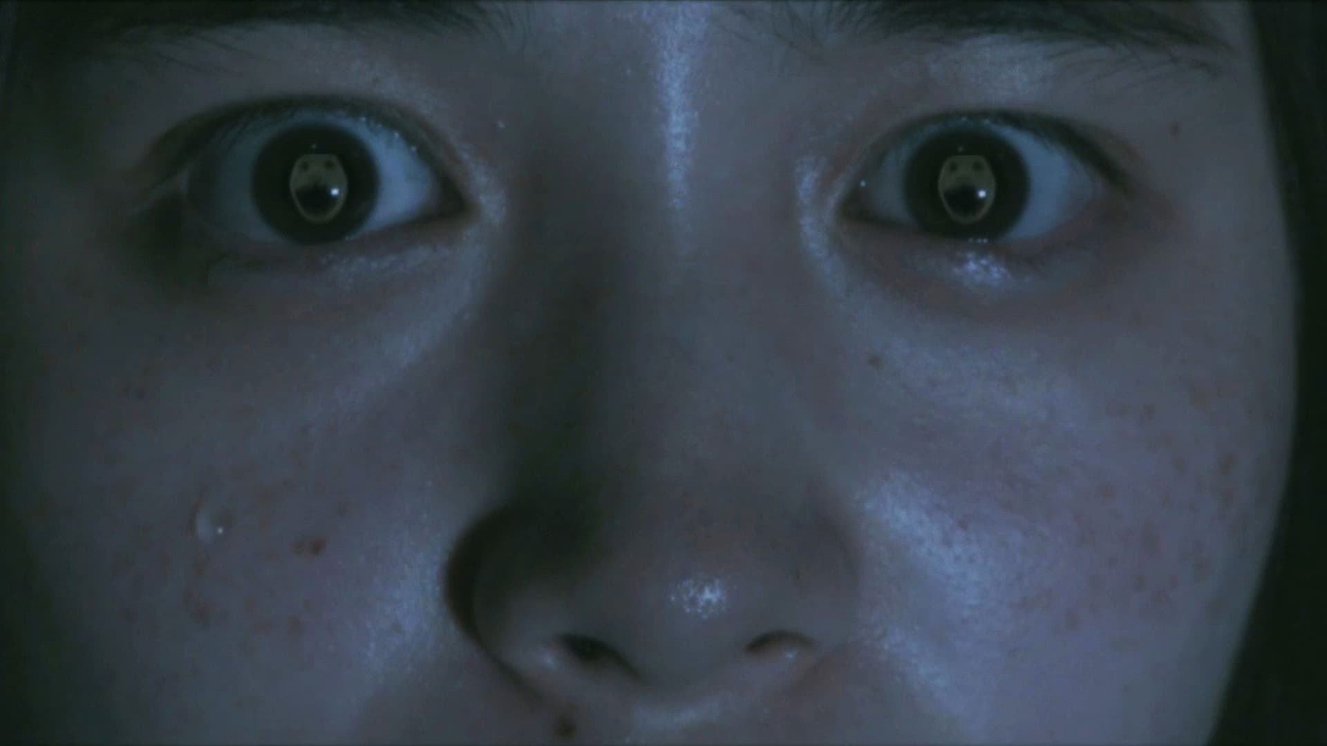 デスフォレスト 恐怖の森5