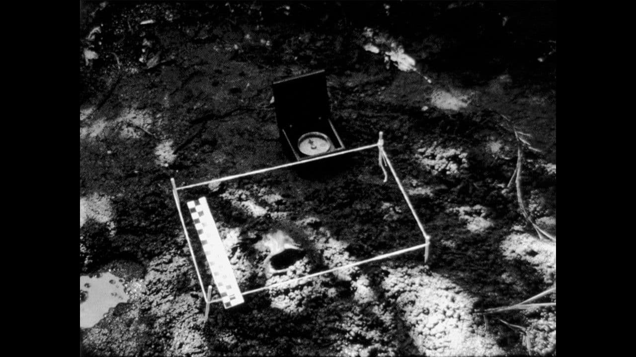 Time I Don't Remember The