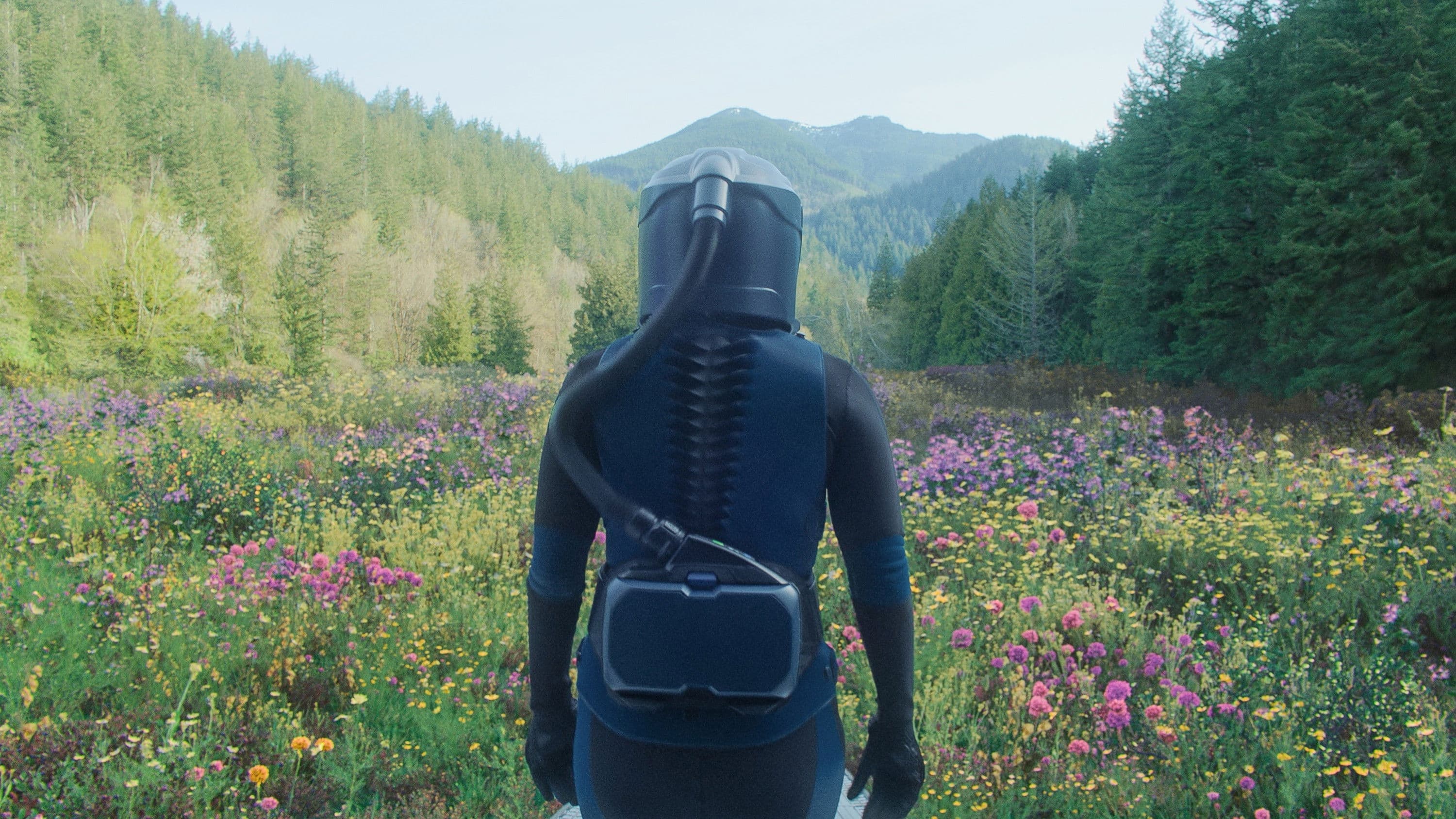 In the Blink of an Eye