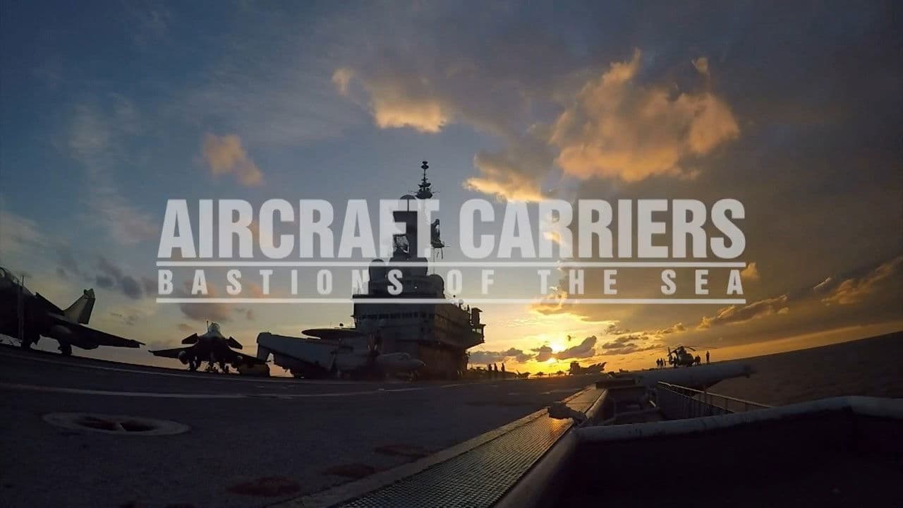 Aircraft Carriers: Bastions Of The Sea