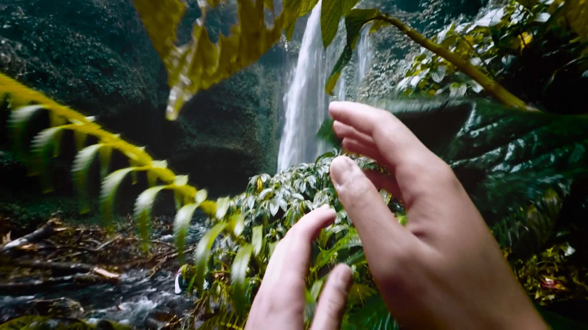 23 Thoughts About My Mother