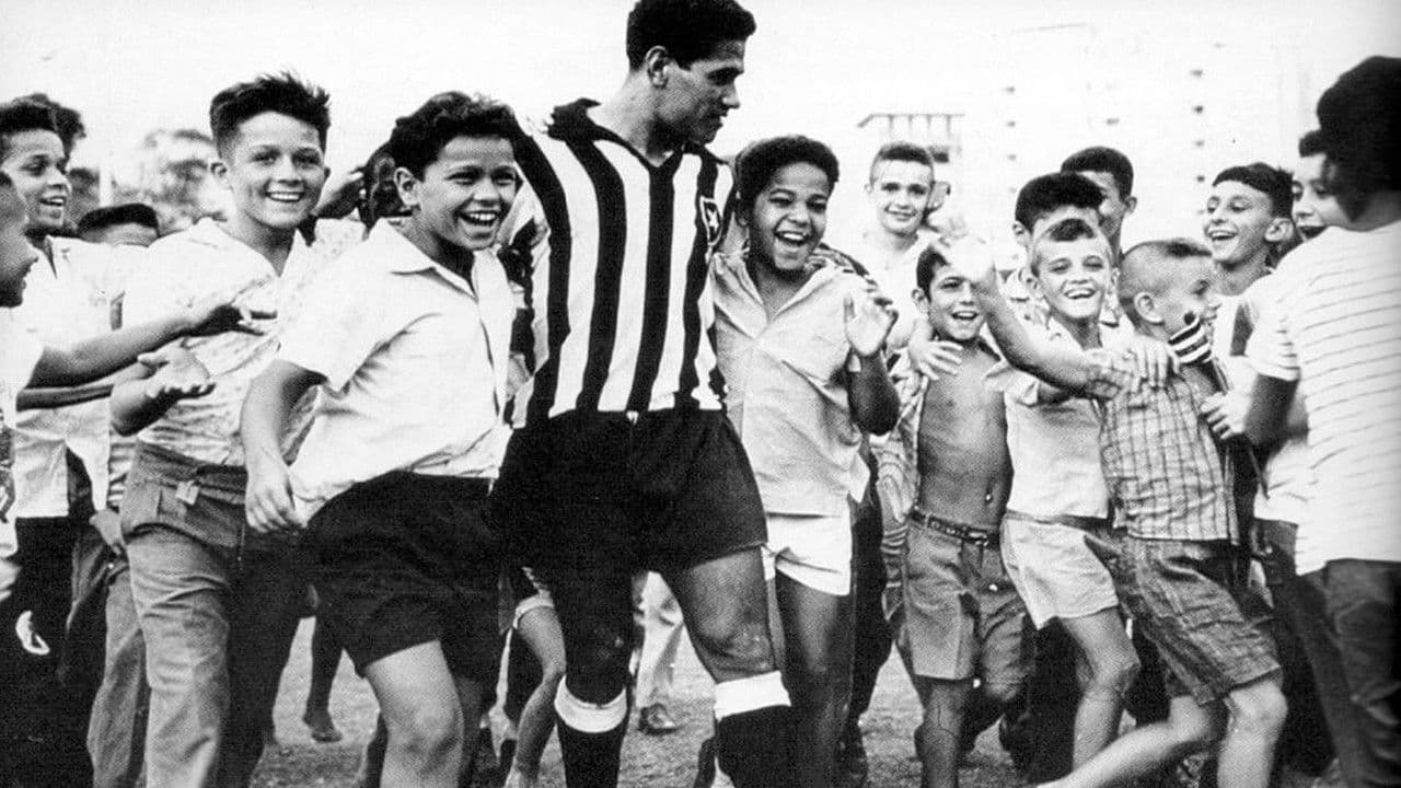 Garrincha, Alegria do Povo
