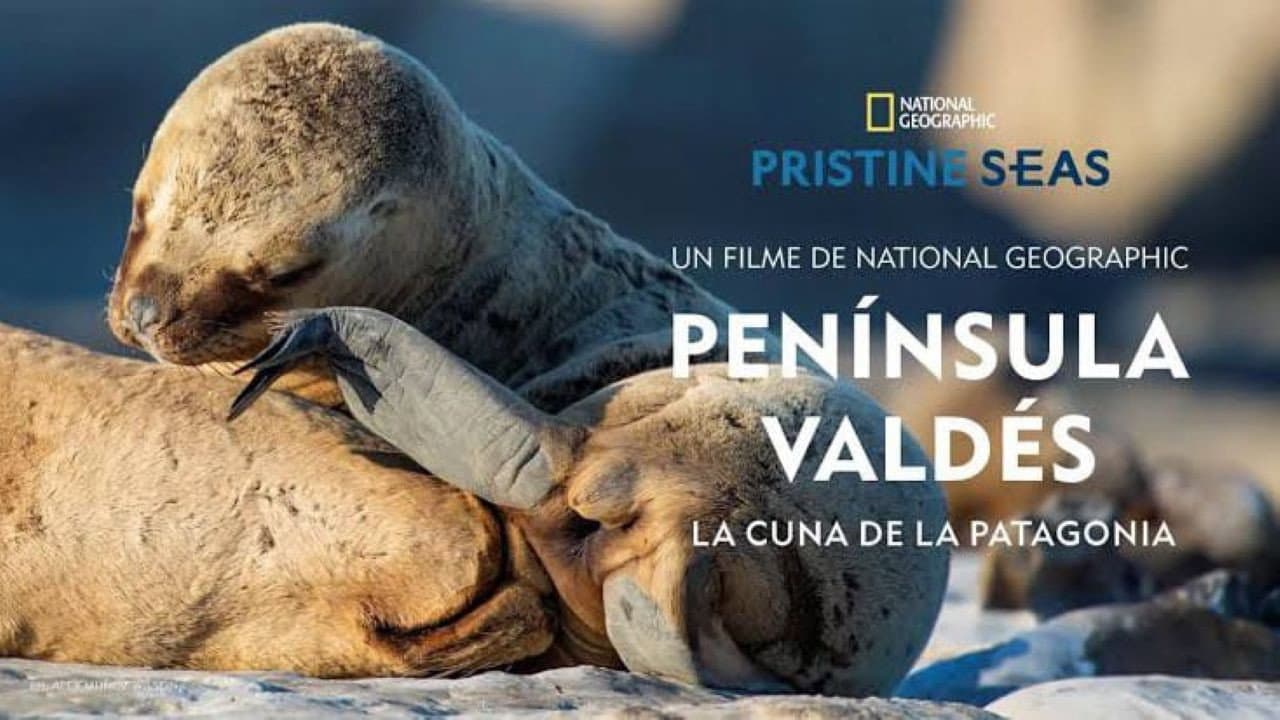 Península Valdés: La Cuna de la Patagonia