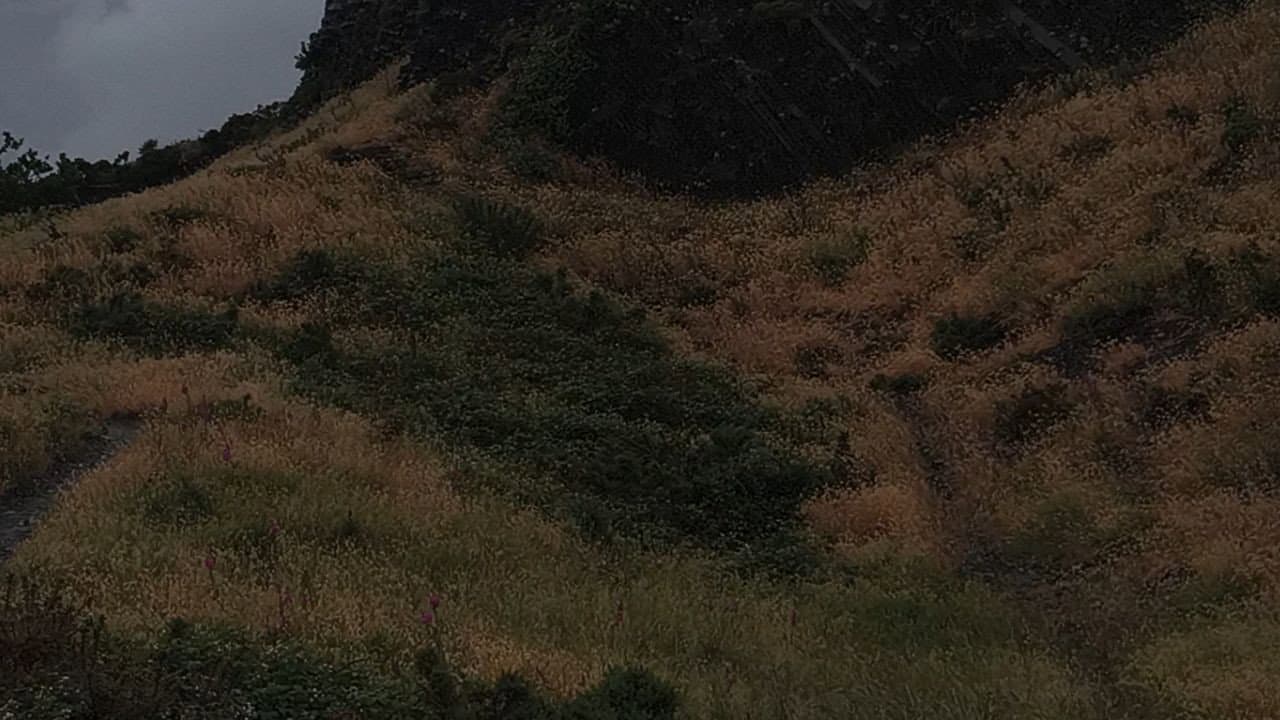 The Outskirts