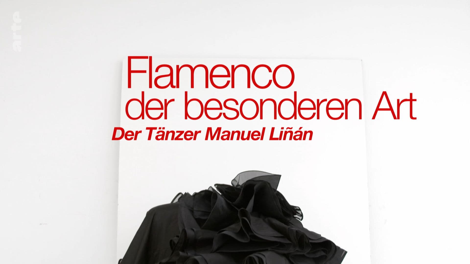 Flamenco der besonderen Art Der Tänzer Manuel Linan