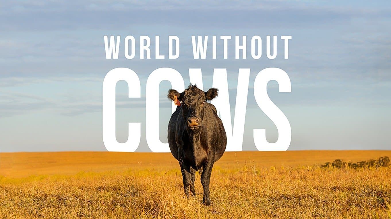 World Without Cows