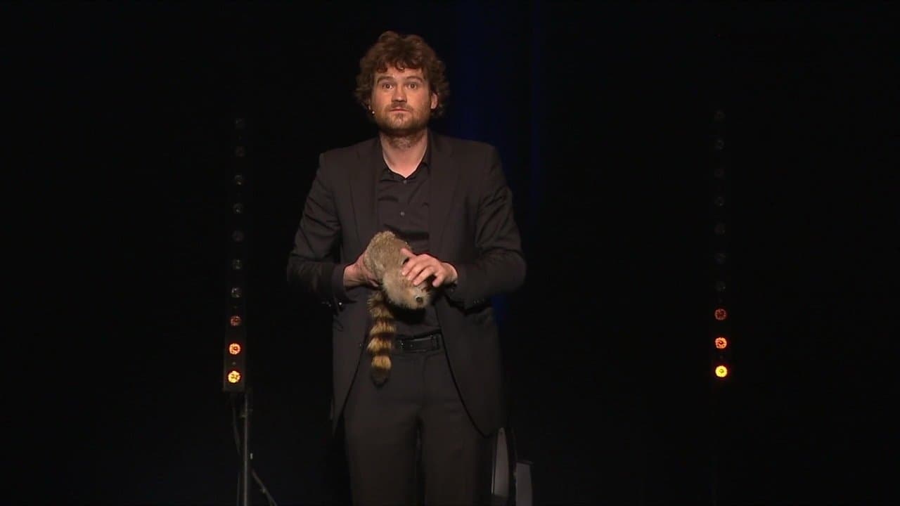 Très Très Haut Débit