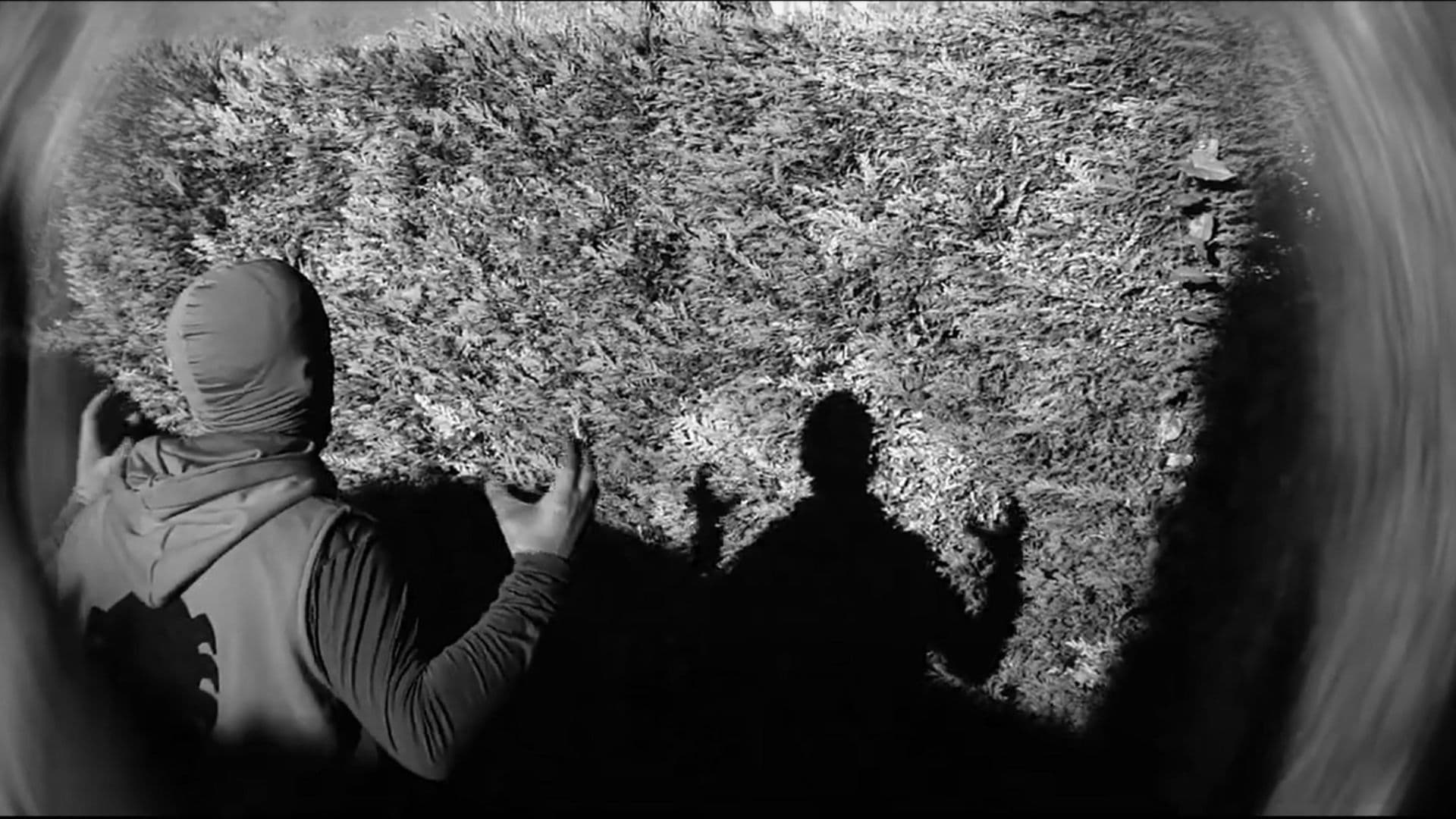 Citizen Ass: The Last Temptation of Web Ass