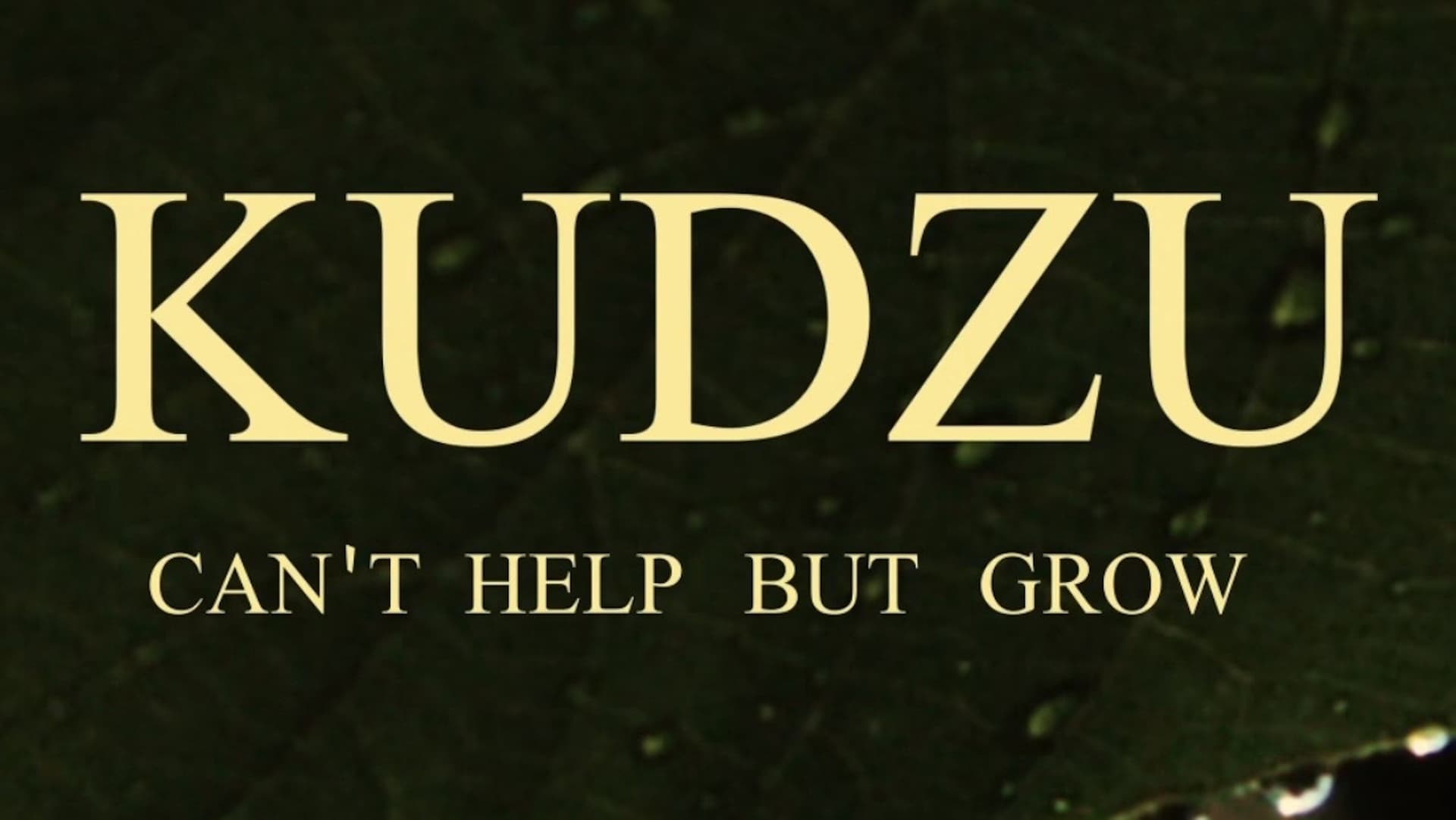 Kudzu Can't Help But Grow