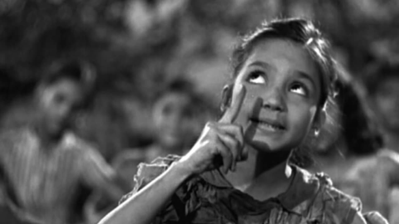 बूट पॉलिश