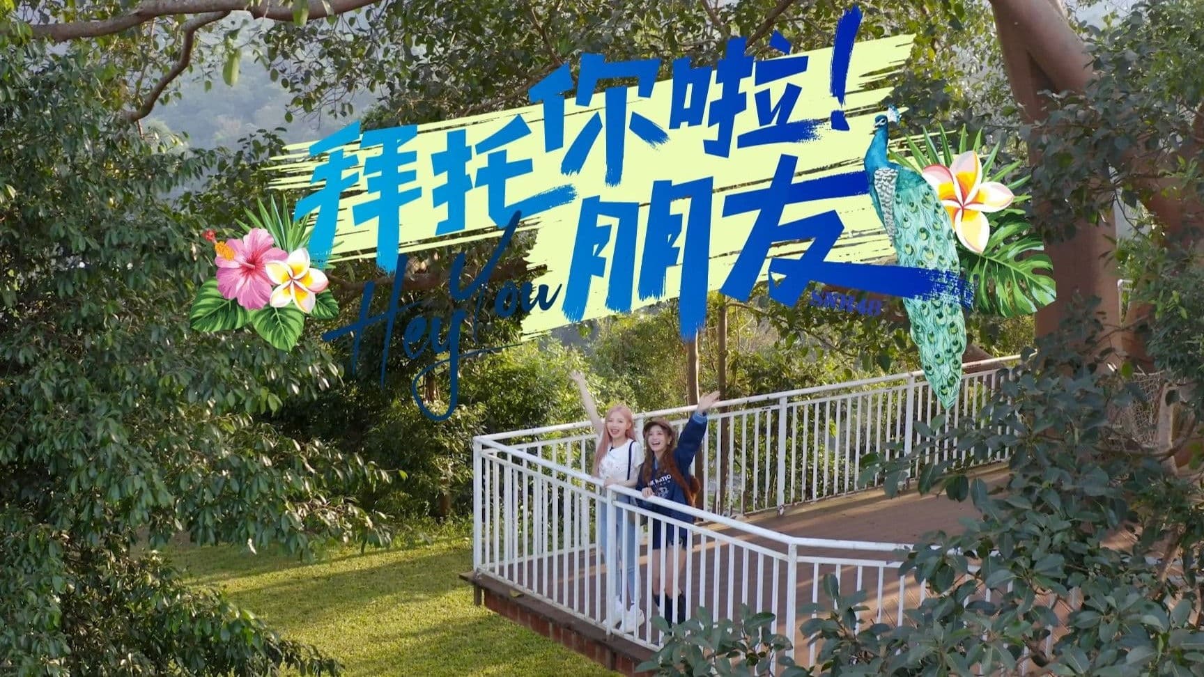 拜托你啦！朋友