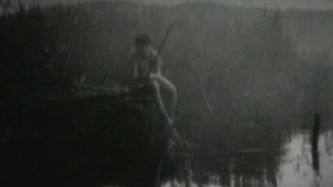 Vagabund für fünf Tage