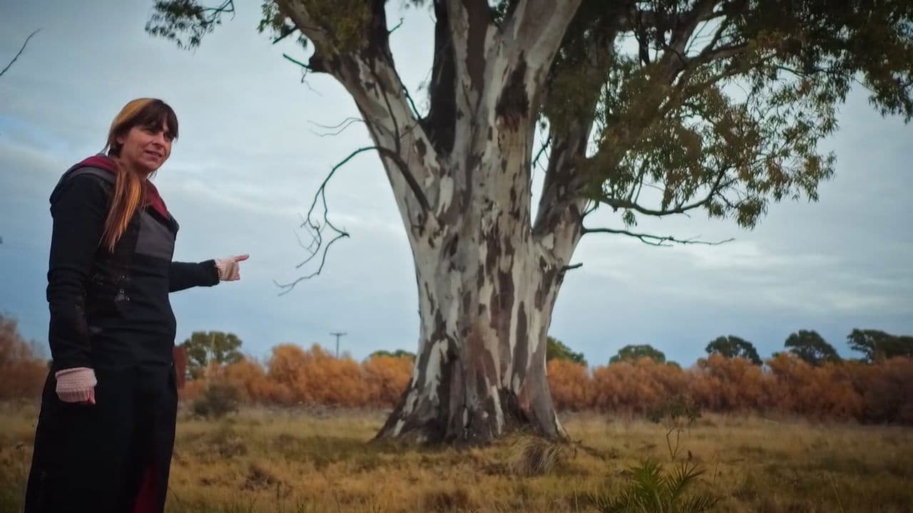 Bahía de la Memoria