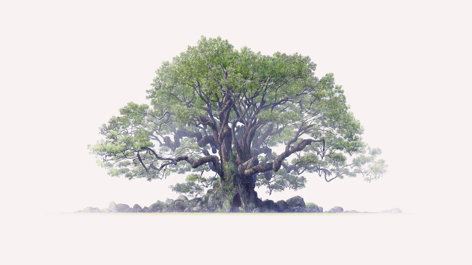 クスノキの番人