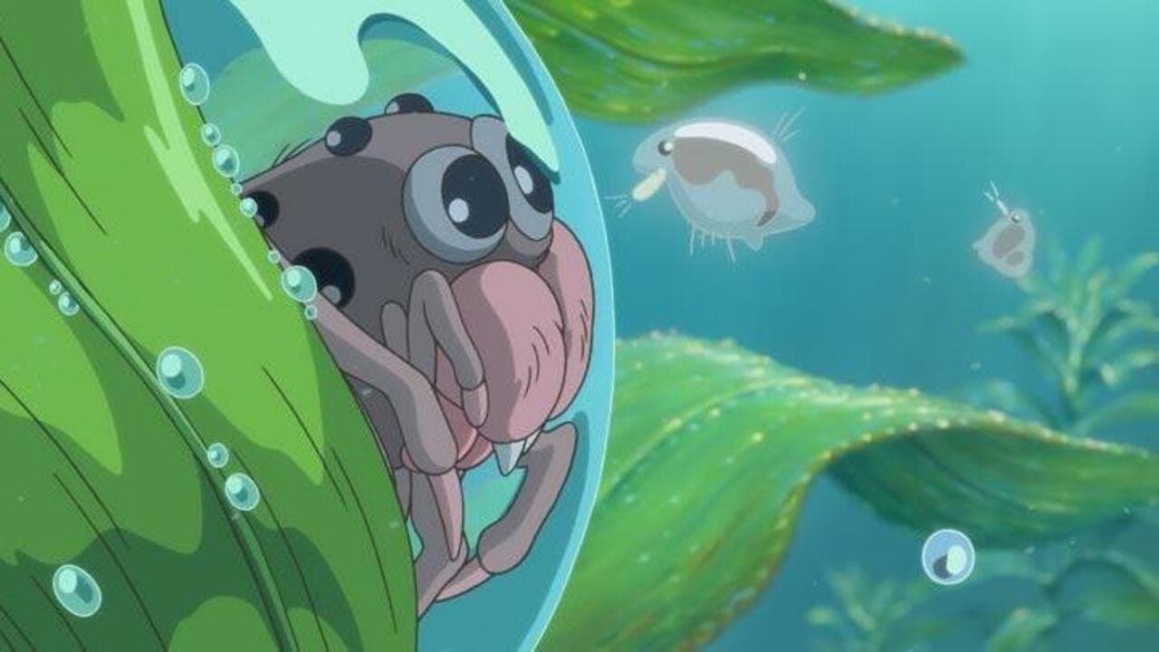 水グモもんもん