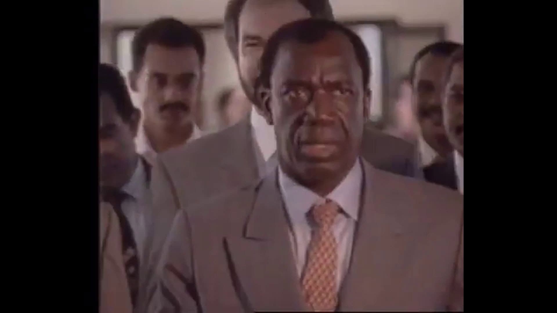 Soldados de la Democracia