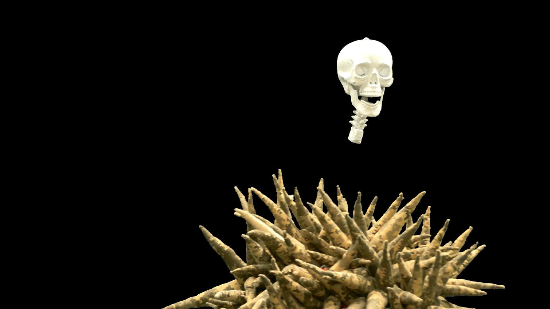 Slut in the Military Circus