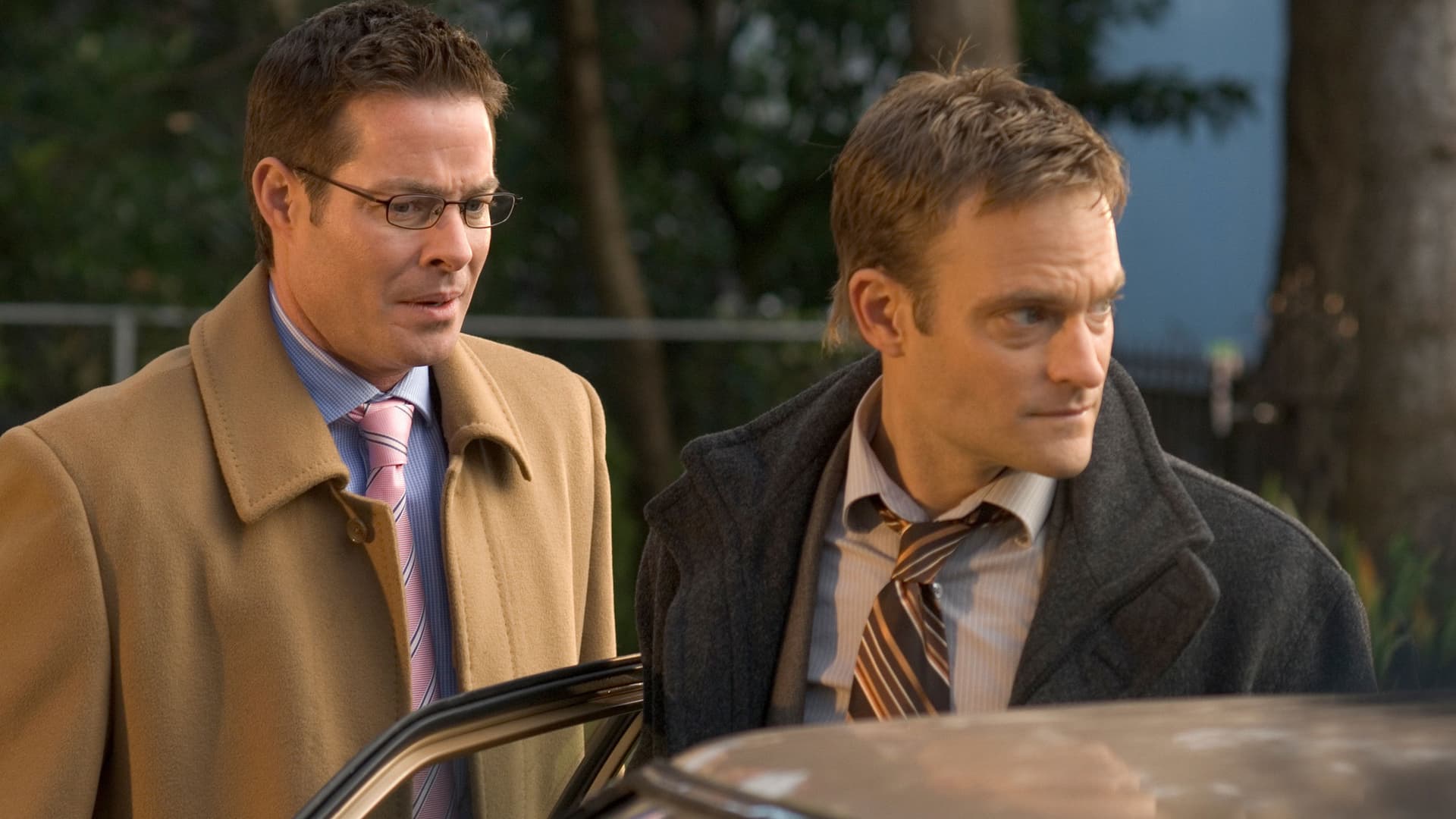 Ice Blues: A Donald Strachey Mystery