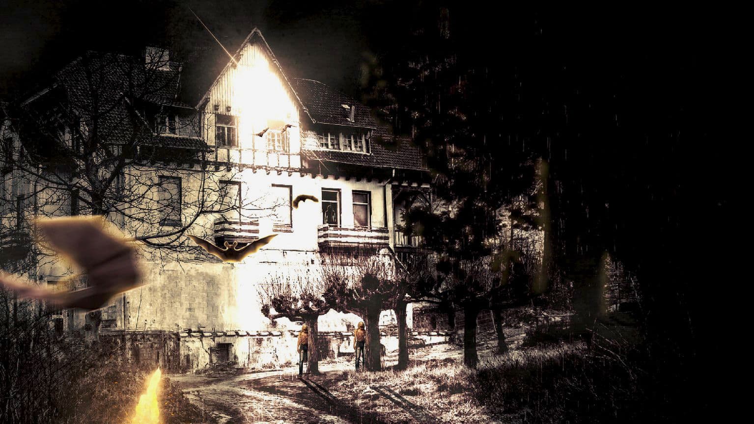 எஸ்டேட்