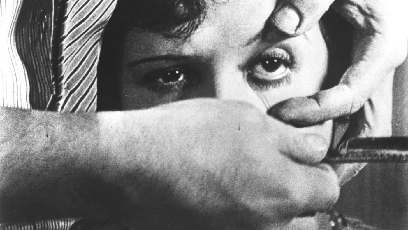 Dans l'œil de Luis Buñuel