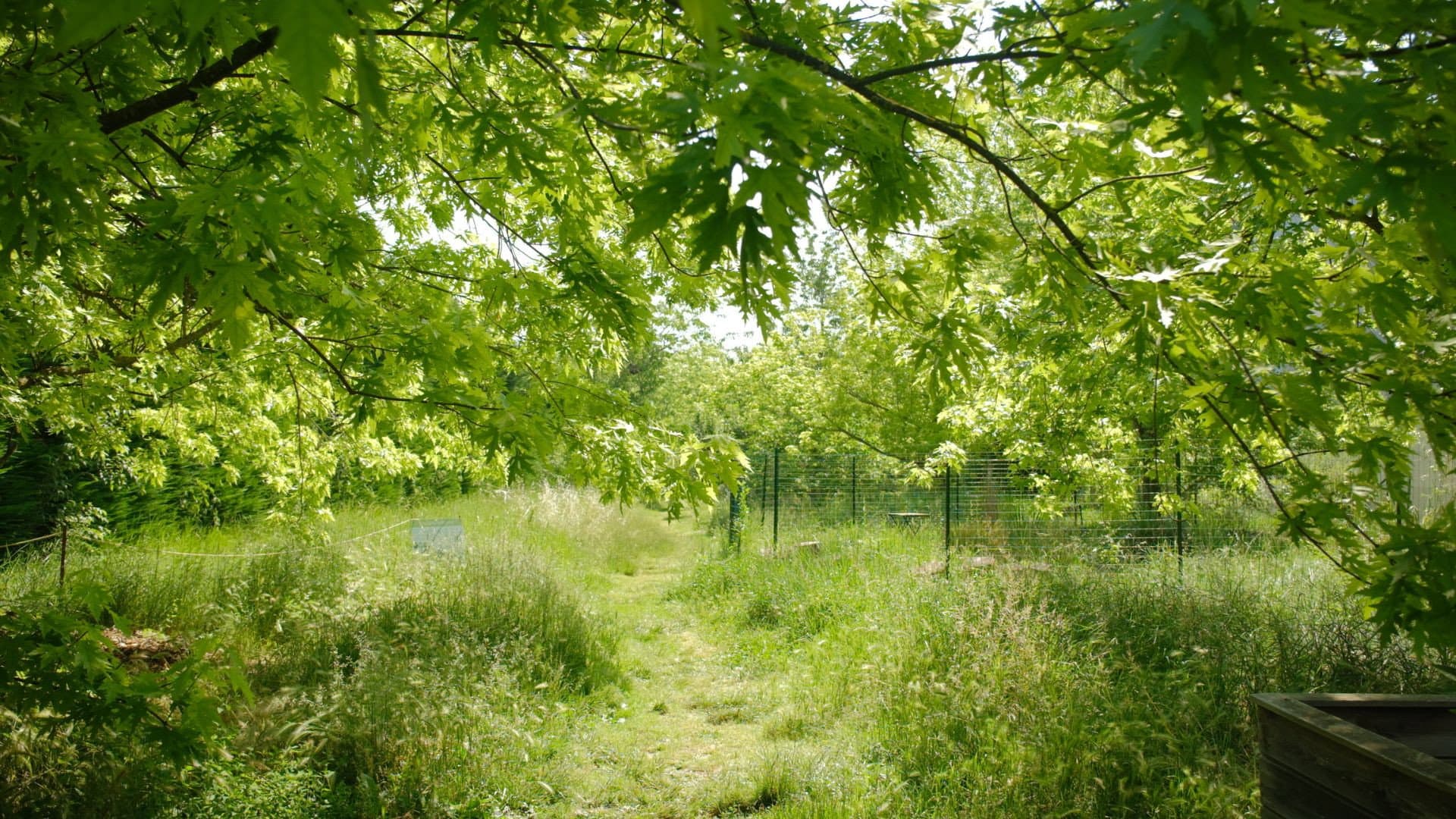 La Picasso Food Forest