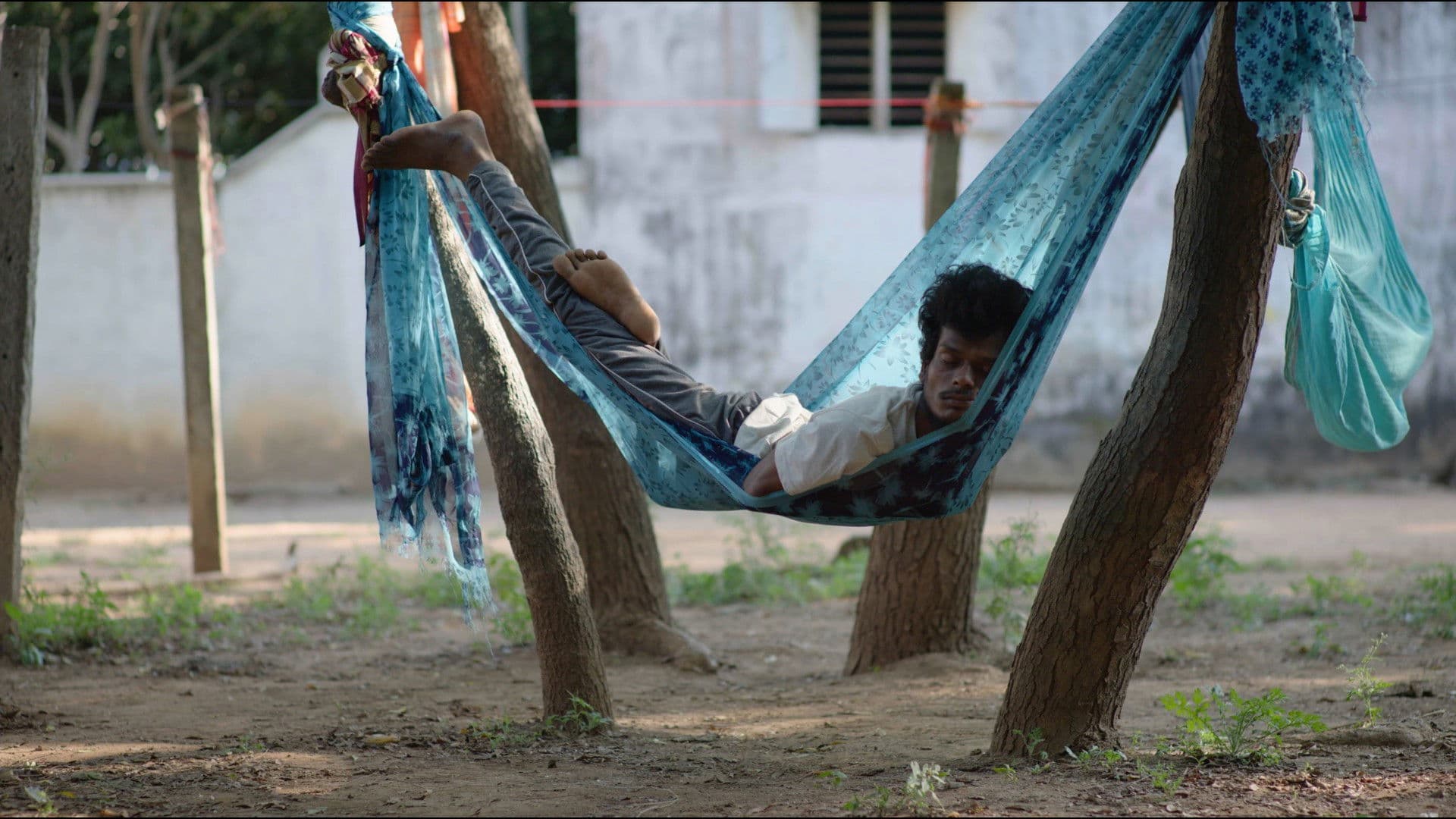 சிக்கலான குடும்பத்தின் உறுப்பினர்கள்