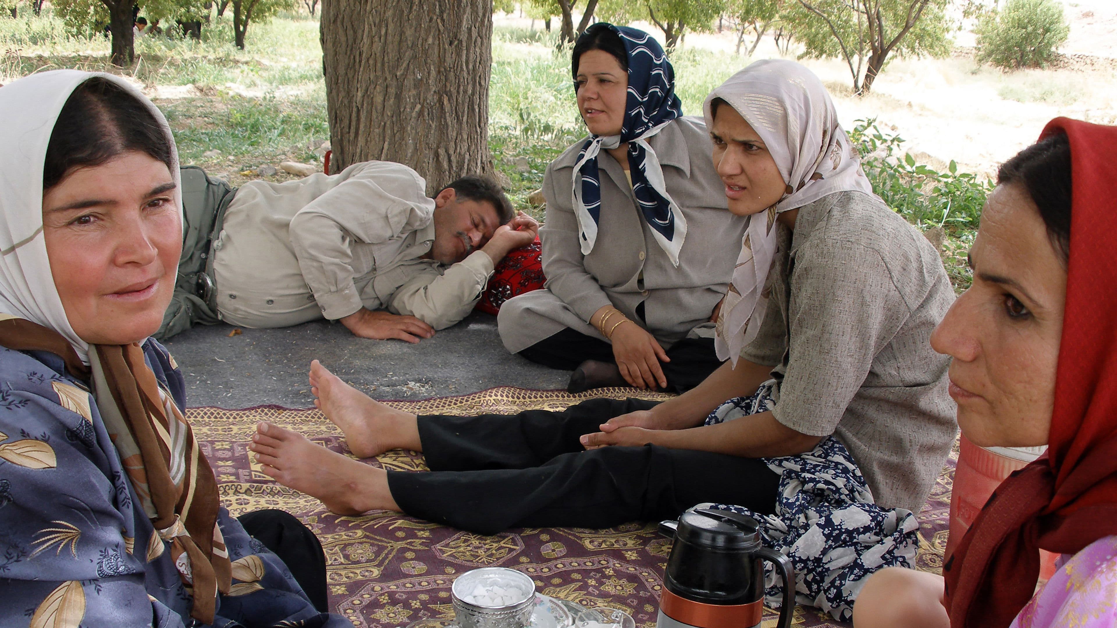 Fyra fruar och en man