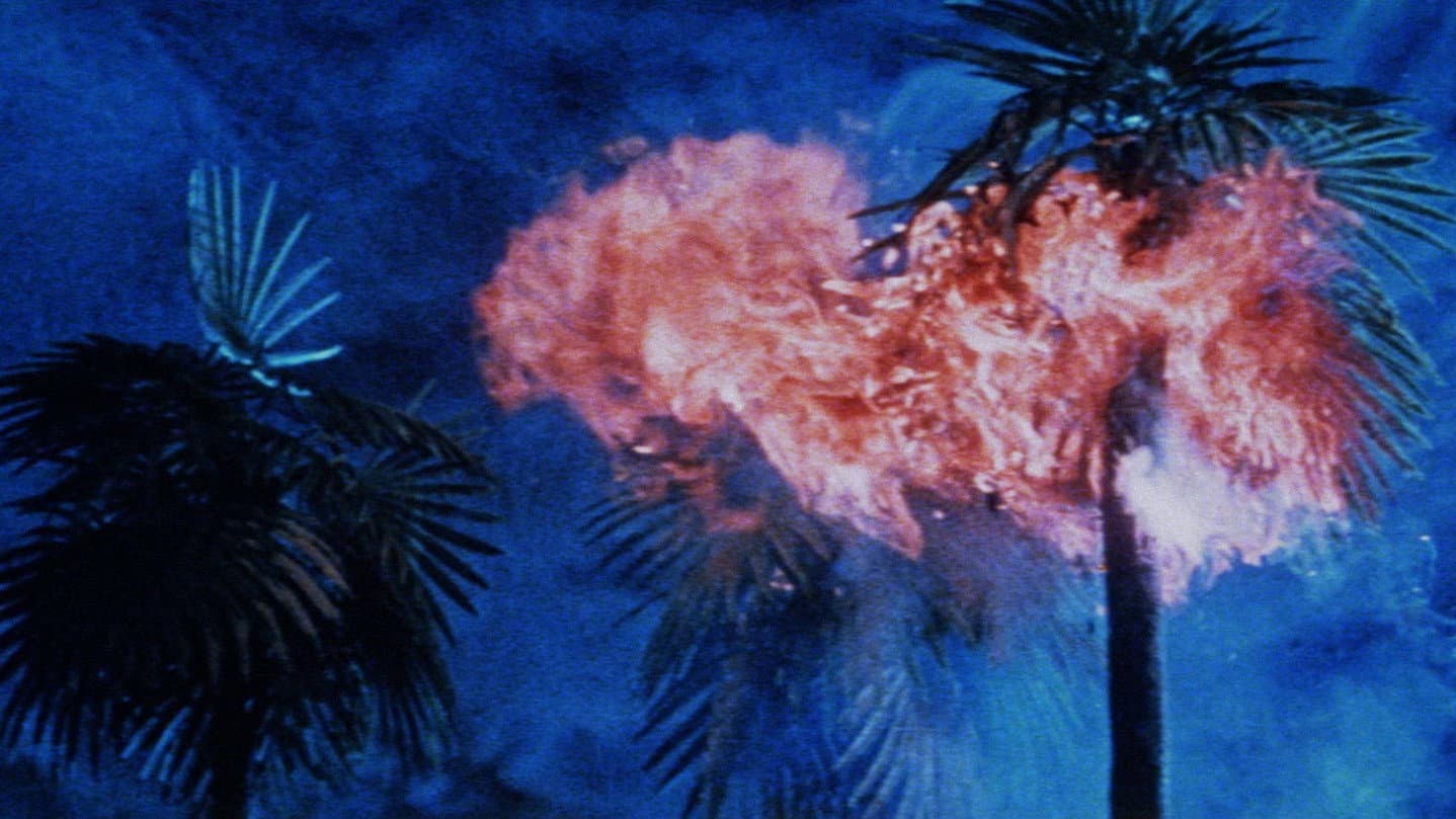 แผ่นดินวิปโยค