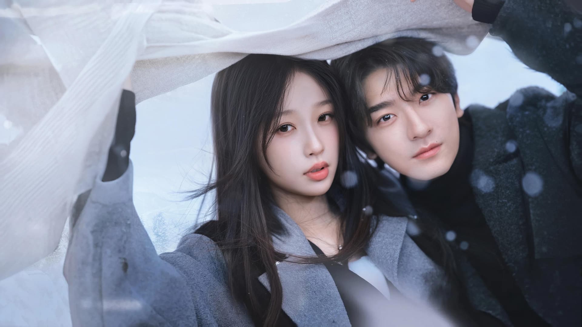 嘘，国王在冬眠