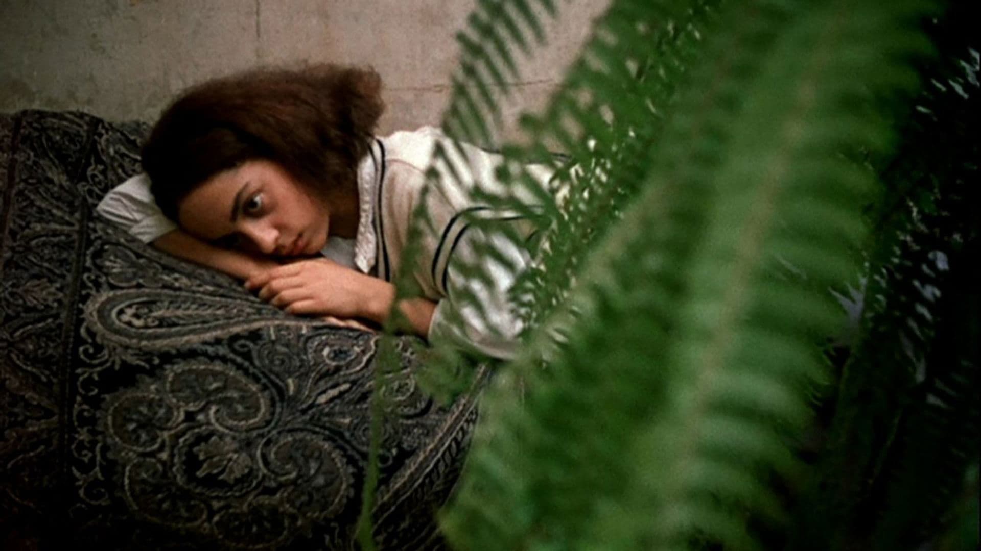 საფეხური