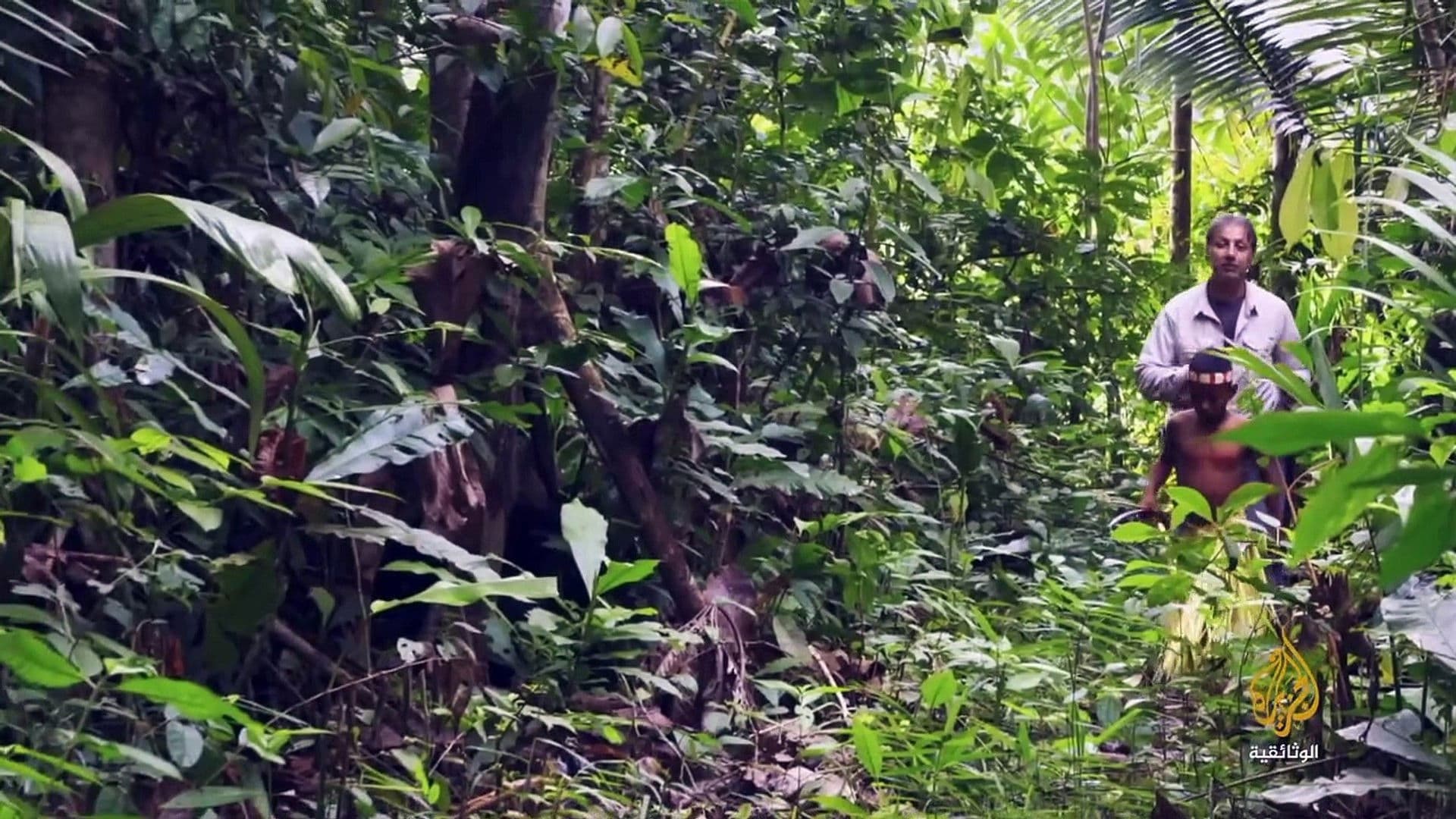 اكتشاف المجهول .. الأمازون