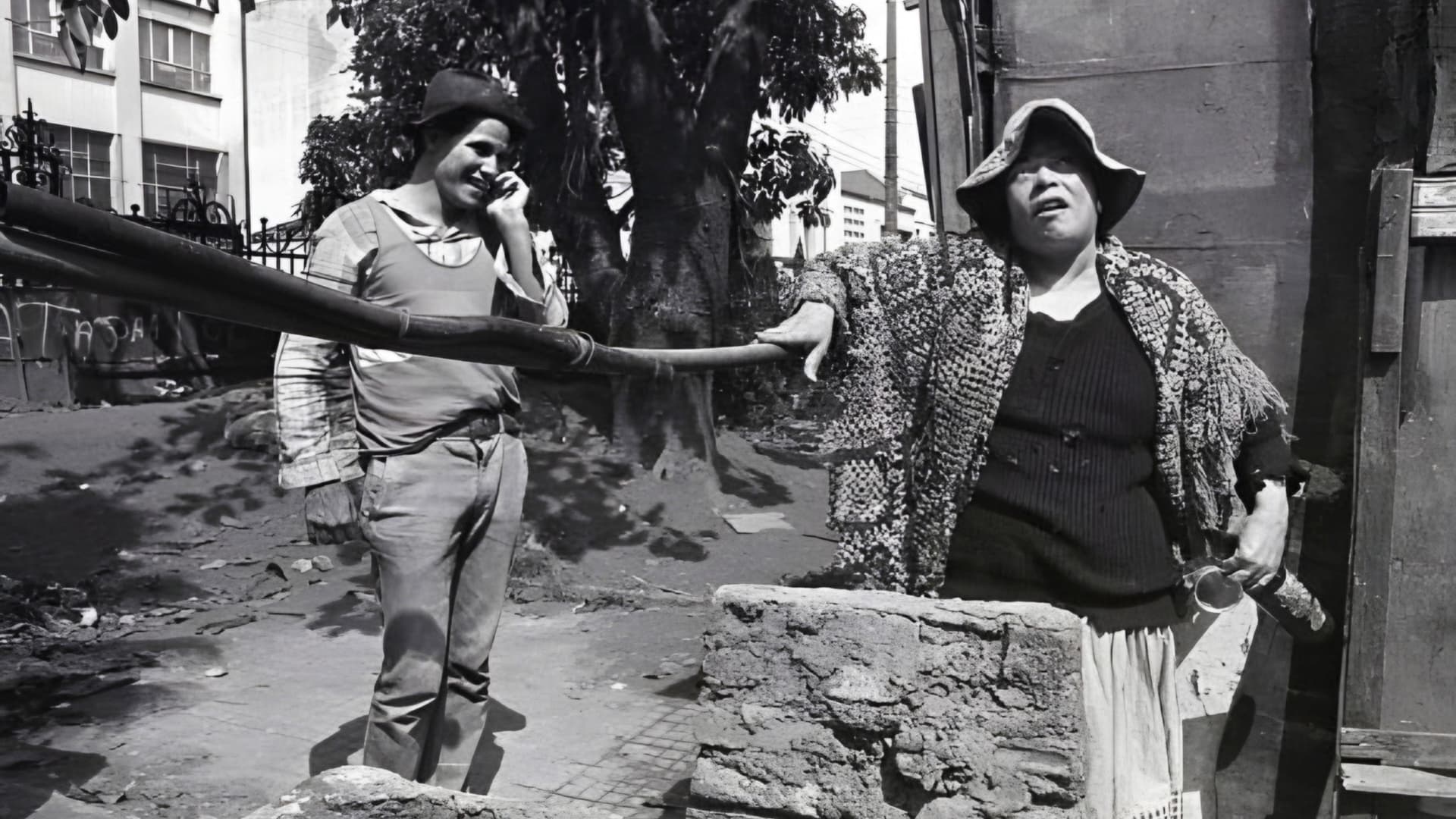 Brasileiras e Brasileiros