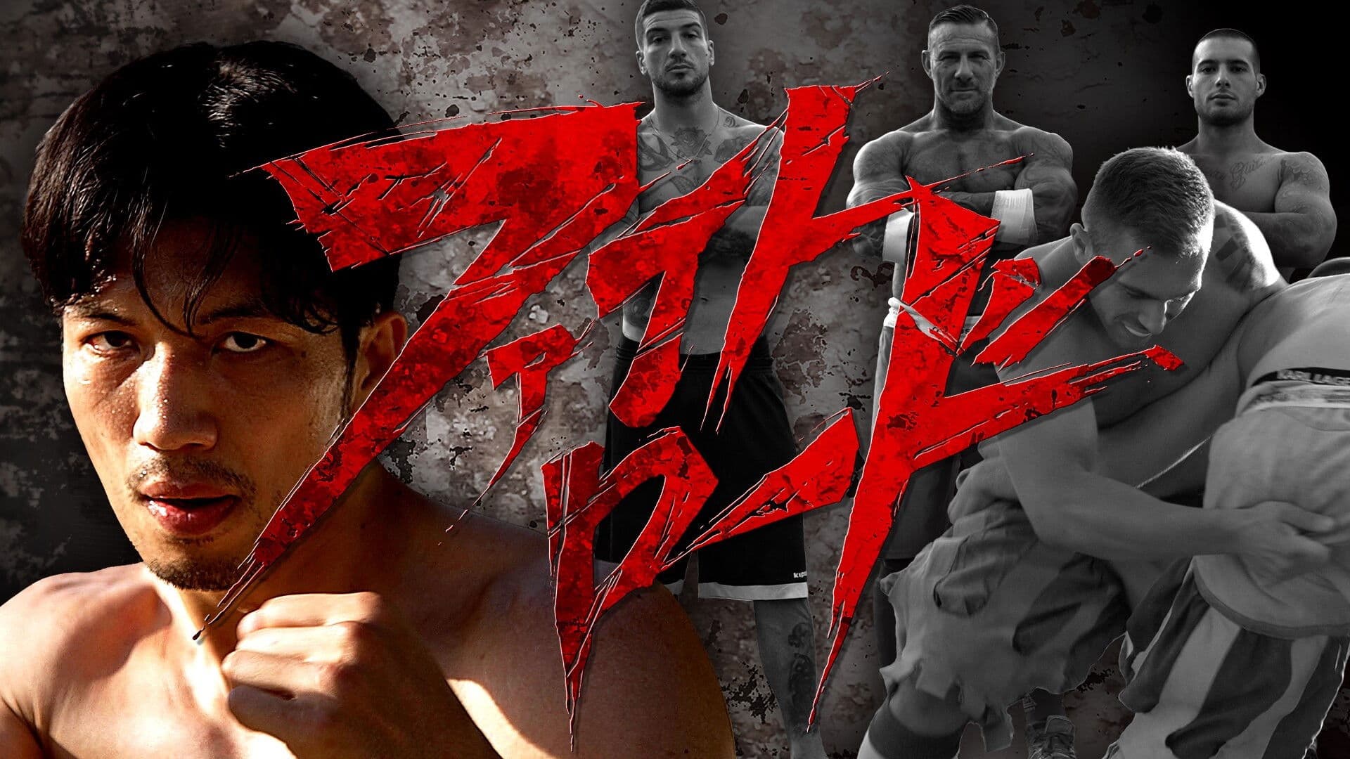 ファイトロード