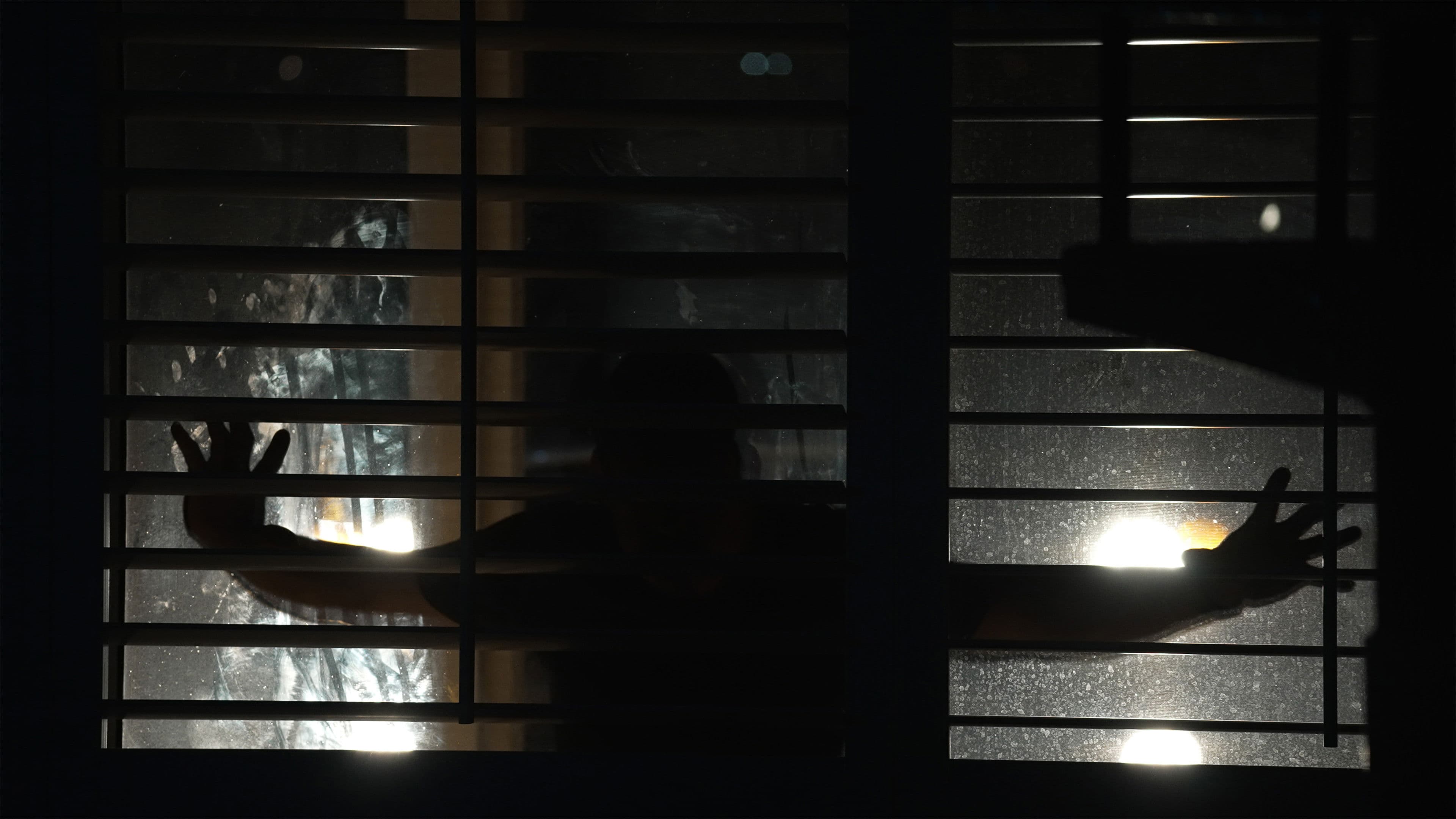 Spread: Pigs to Slaughter