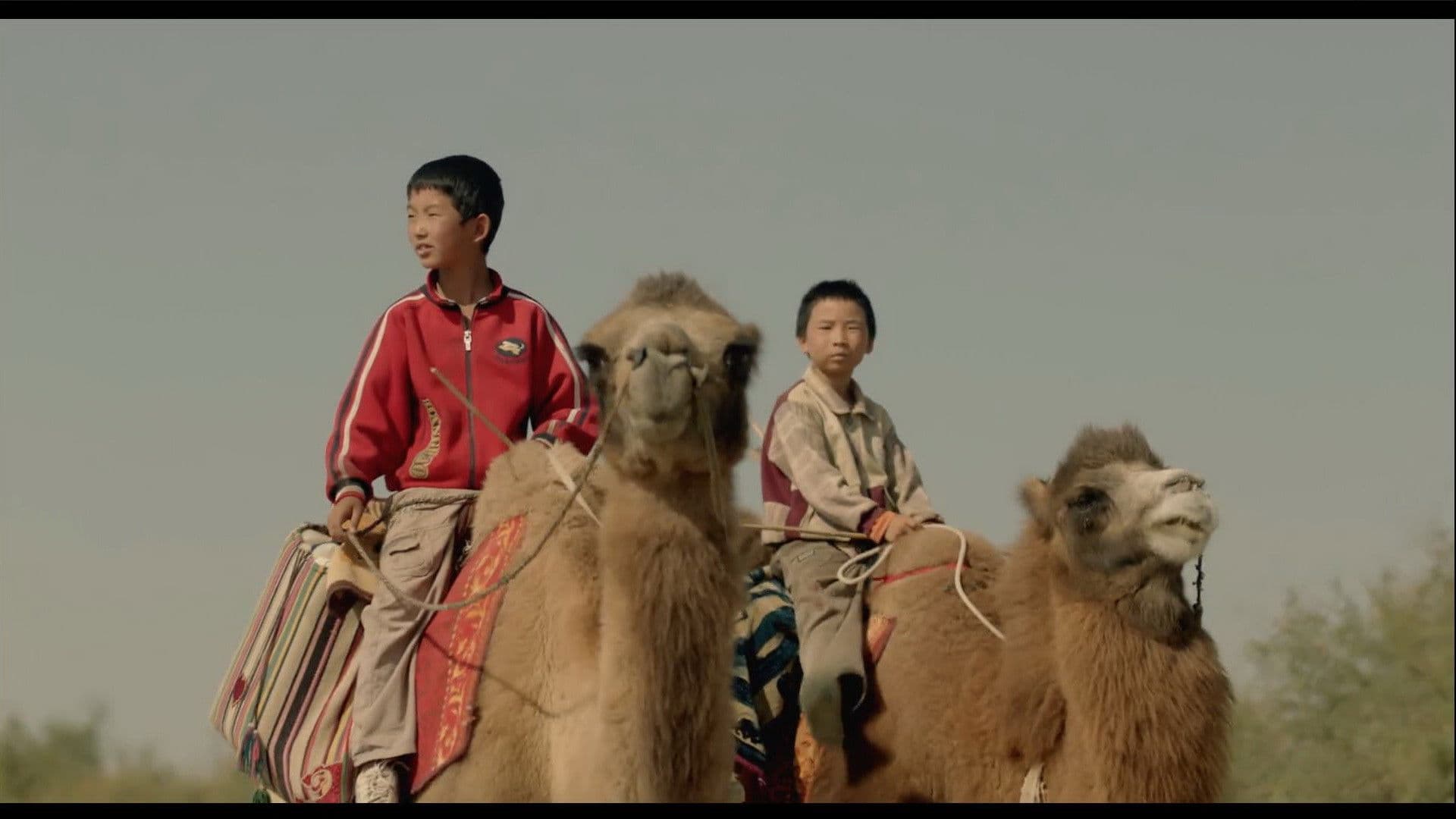 家在水草丰茂的地方