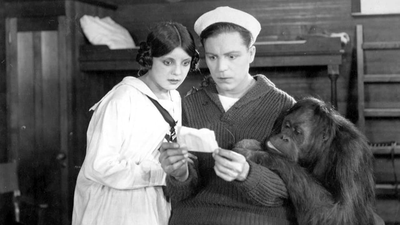 Such a Little Pirate