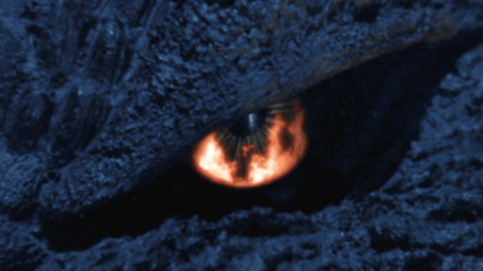 ゴジラ ファイナルウォーズ