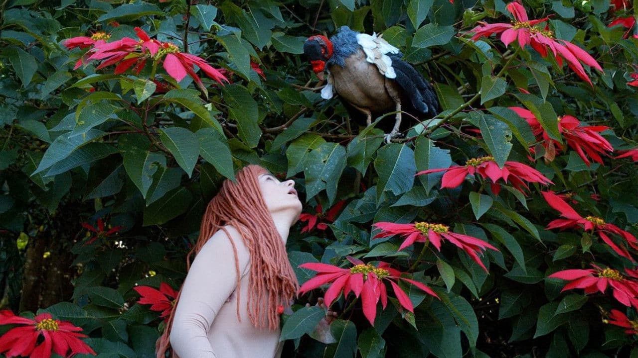 Die Tagebücher von Adam und Eva